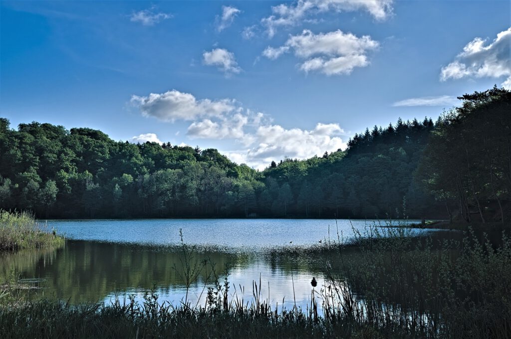 Maare der Vulkaneifel / Holzmaar (Gillenfeld) (AR 05/2022)