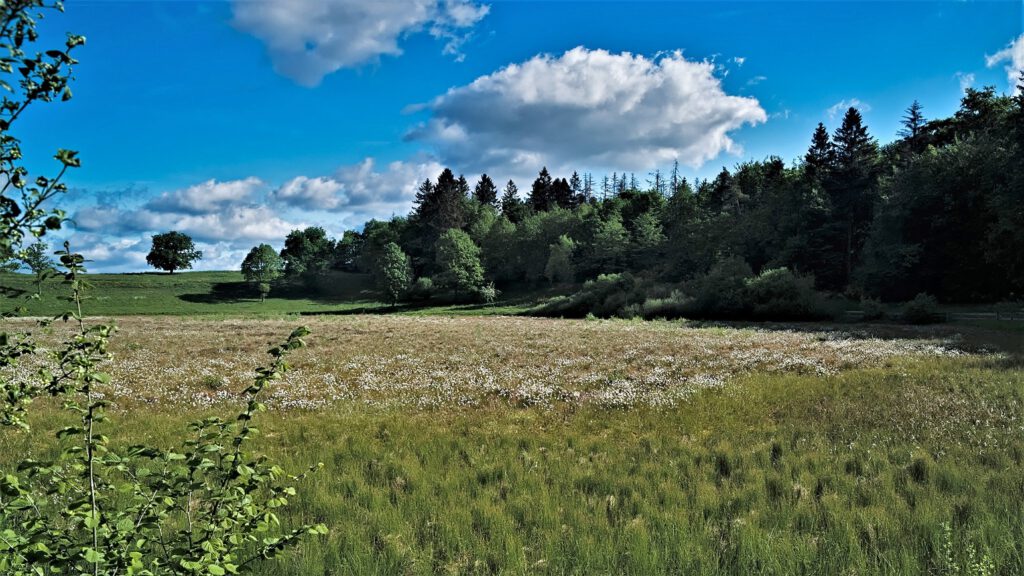 Maare der Vulkaneifel / Dürres Maar (Gillenfeld) (AR 05/2022)