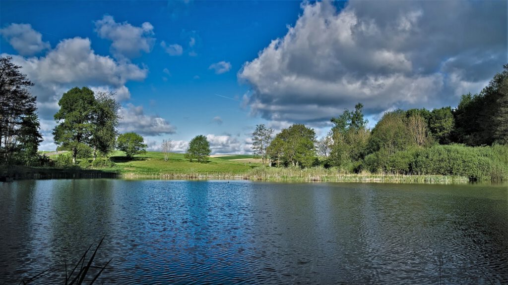 Maare der Vulkaneifel / Holzmaar (Gillenfeld) (AR 05/2022)