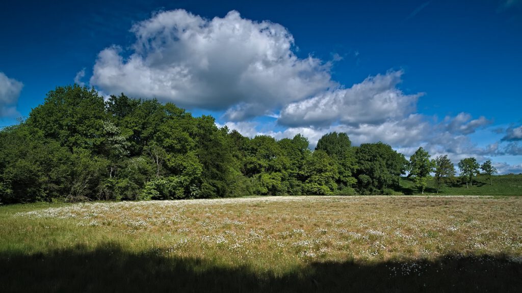 Maare der Vulkaneifel / Dürres Maar (Gillenfeld) (AR 05/2022)