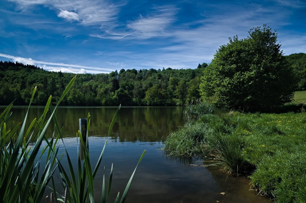 Maare der Vulkaneifel / Immerather Maar (Immerath) (AR 05/2022)