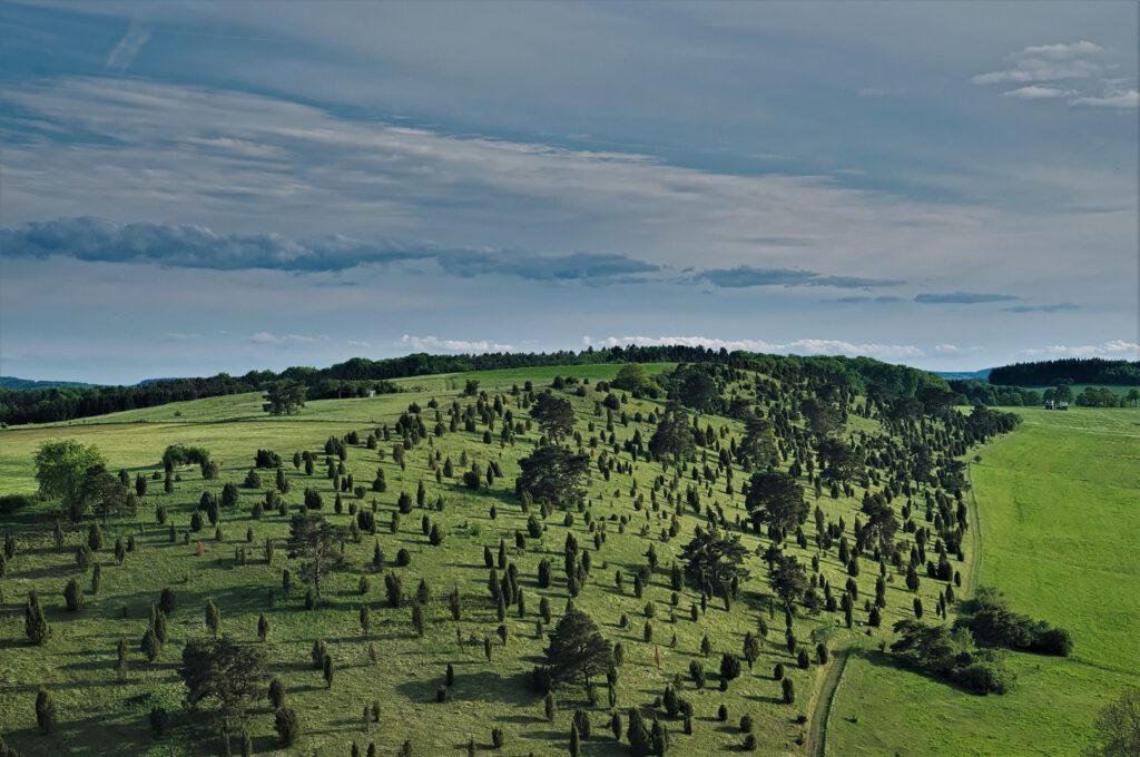 Der Kalvarienberg (Alendorf/Nordeifel) (AR 05/2022)