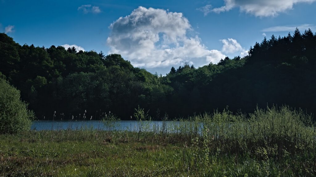 Maare der Vulkaneifel / Holzmaar (Gillenfeld) (AR 05/2022)