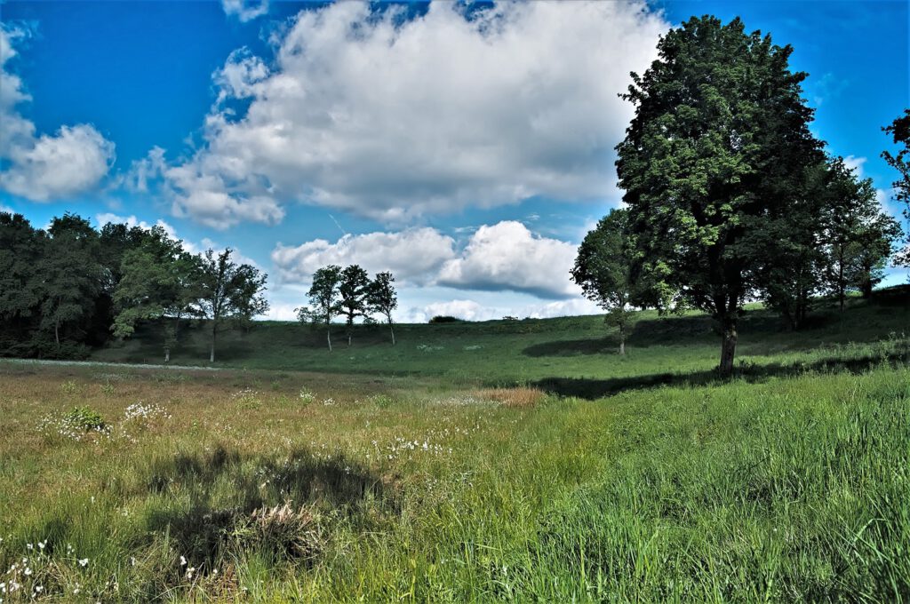 Maare der Vulkaneifel / Dürres Maar (Gillenfeld) (AR 05/2022)