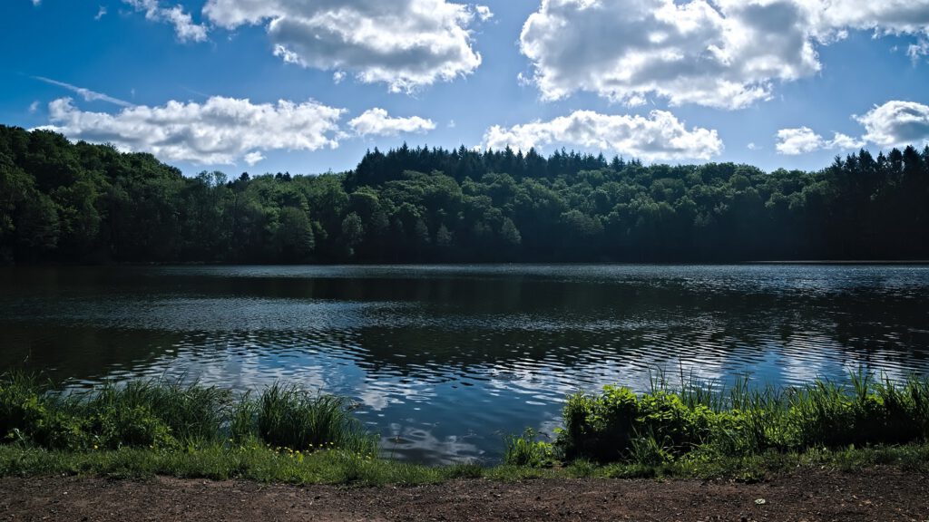 Maare der Vulkaneifel / Holzmaar (Gillenfeld) (AR 05/2022)