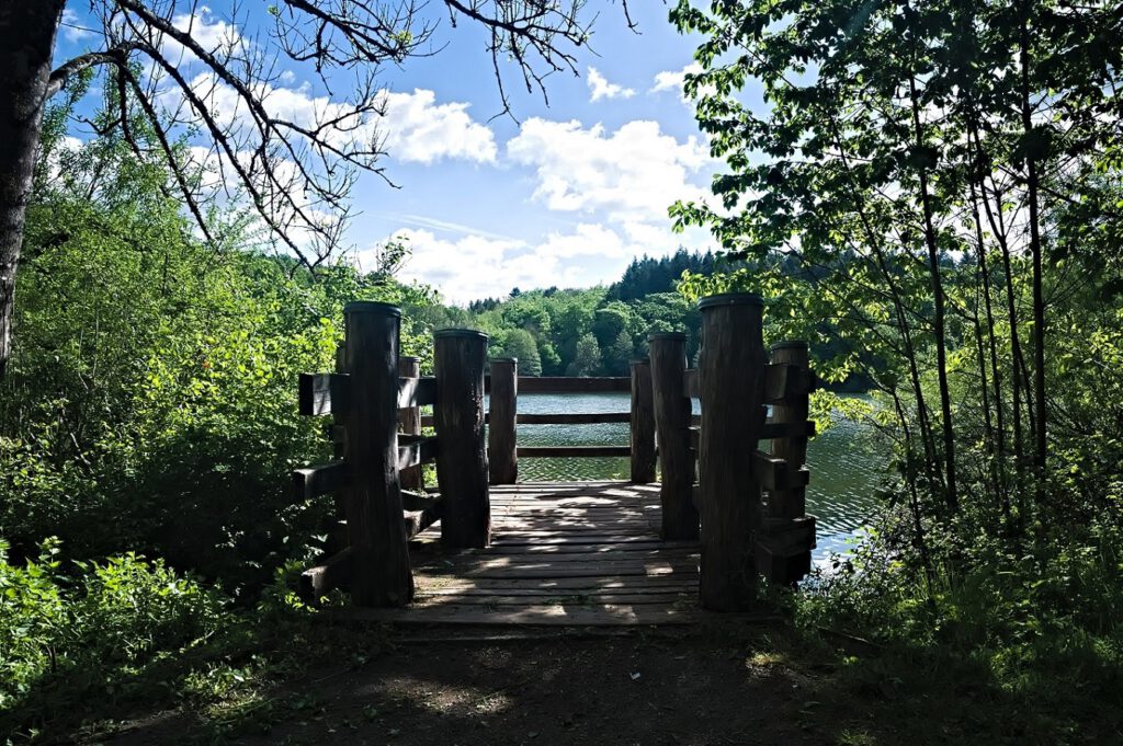 Maare der Vulkaneifel / Holzmaar (Gillenfeld) (AR 05/2022)