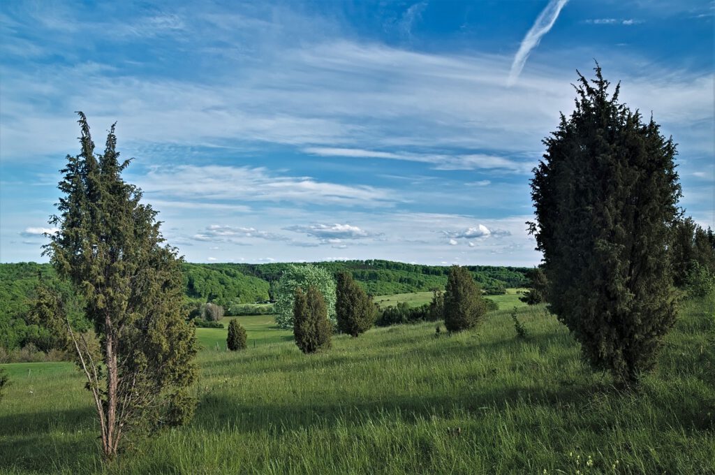 Blick vom Kalvarienberg (Alendorf/Nordeifel) (AR 05/2022)