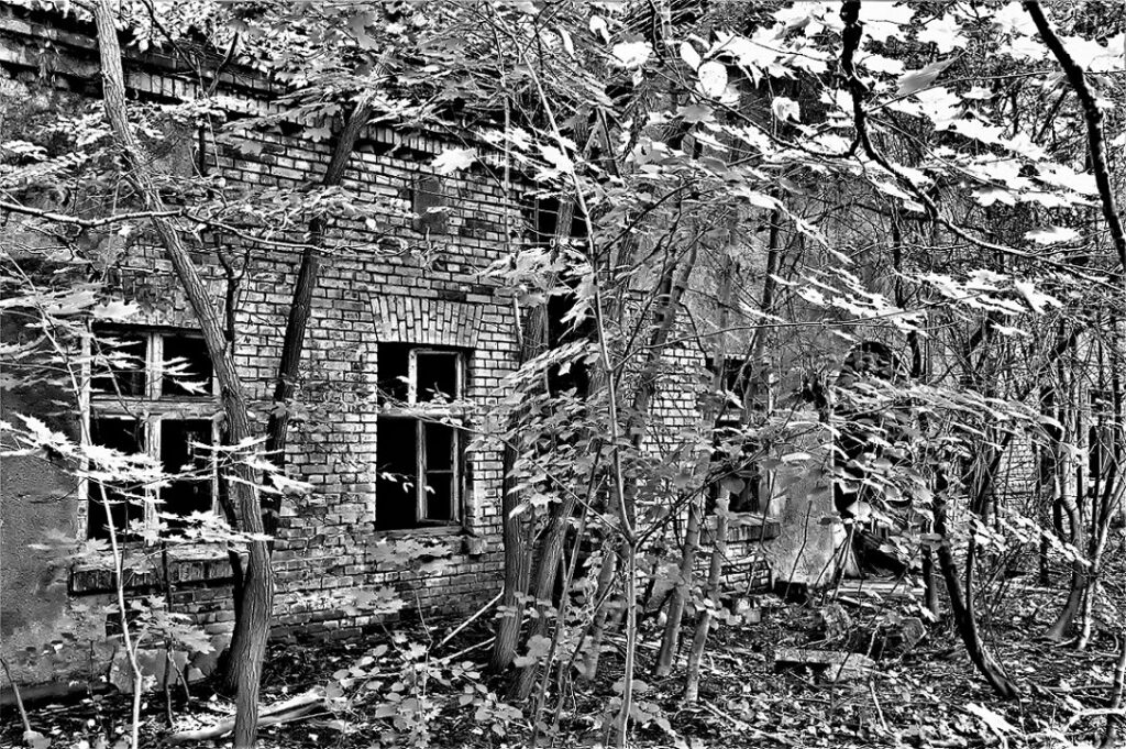 Überreste eines Wohnhauses / ehem. Gutsanlage Gentzrode (Neuruppin) (AR 07/2022)