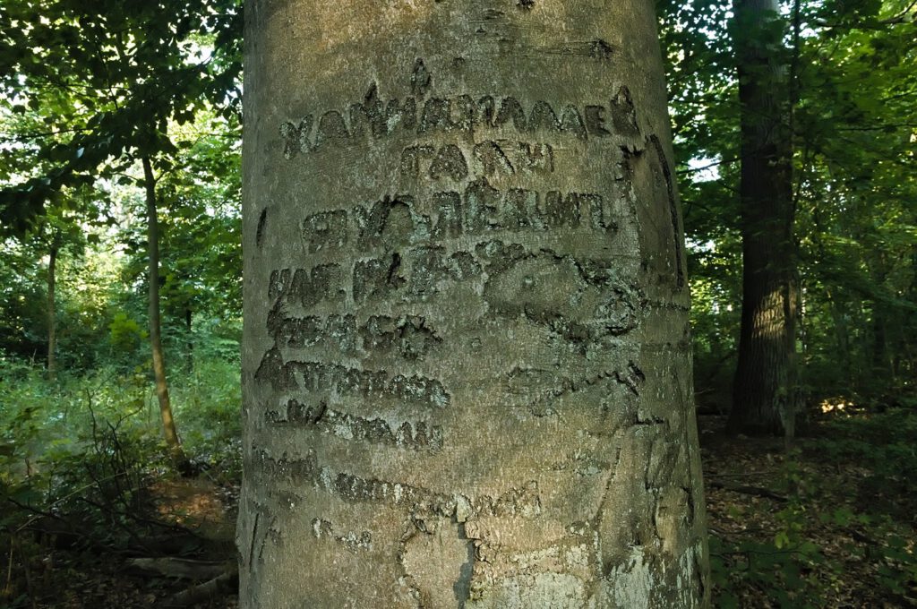 Buche / Signatur: Hamnamallae - könnte ein Begriff aus Tadschikistan sein und "Landsmann" heißen / Gentzrode (Neuruppin) (AR 08/2022)