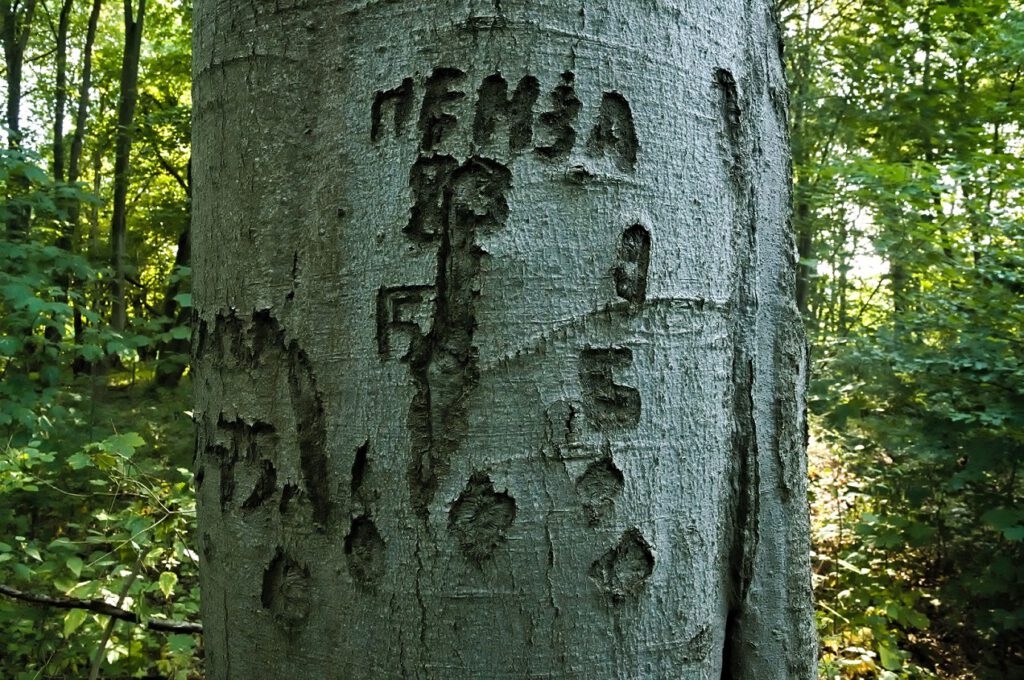 Buche / Signatur: es könnte die Stadt Pensa, ca. 550 km Luftlinie von Moskau entfernt am Fluß Sura gemeint sein / Gentzrode (Neuruppin) (AR 08/2022)