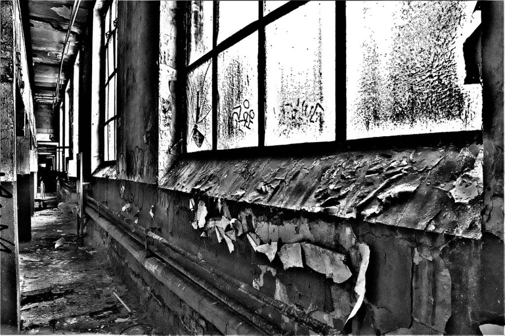 Lost Place / Fenster der Werkhalle einer ehemaligen Fabrik für Klein- und Großmotoren / Köln (AR 09/2022)
