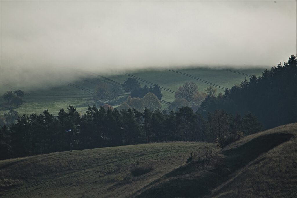 on the way / Der frühe Morgen von der Hümpfershäuser Berghütte (ca. 652 m) aus gesehen / Schmalkalden-Meiningen (Thüringen) (AR 11/2022)