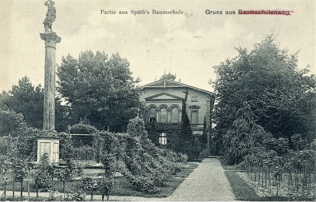 Von Pellkartoffeln mit Heringsschwanz / Die Baumschule Späth am Baumschulenweg in Treptow (Jahr unbekannt / Museum Neukölln / AR)