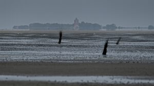 on the way / Blick auf das Duhner Wattenmeer und ganz klein im Hintergrund die Insel Neuwerk / Biosphärenreservat Niedersächsisches Wattenmeer / Cuxhaven (AR 05/2023)