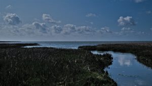 on the way / Blick über die Küstenheide von Sahlenburg in Richtung Wattenmeer / Biosphärenreservat Niedersächsisches Wattenmeer / Cuxhaven (AR 05/2023)