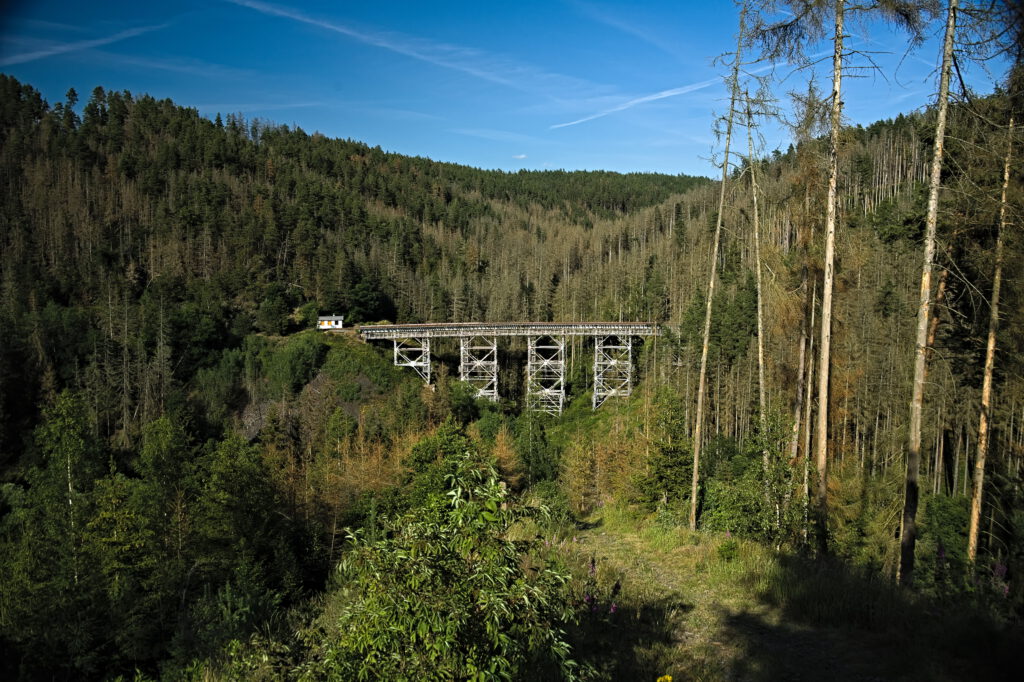 on the way / die Ziemestalbrücke / das Viadukt Ziemestal (Remptendorf - Thüringen) (AR 06/2023)