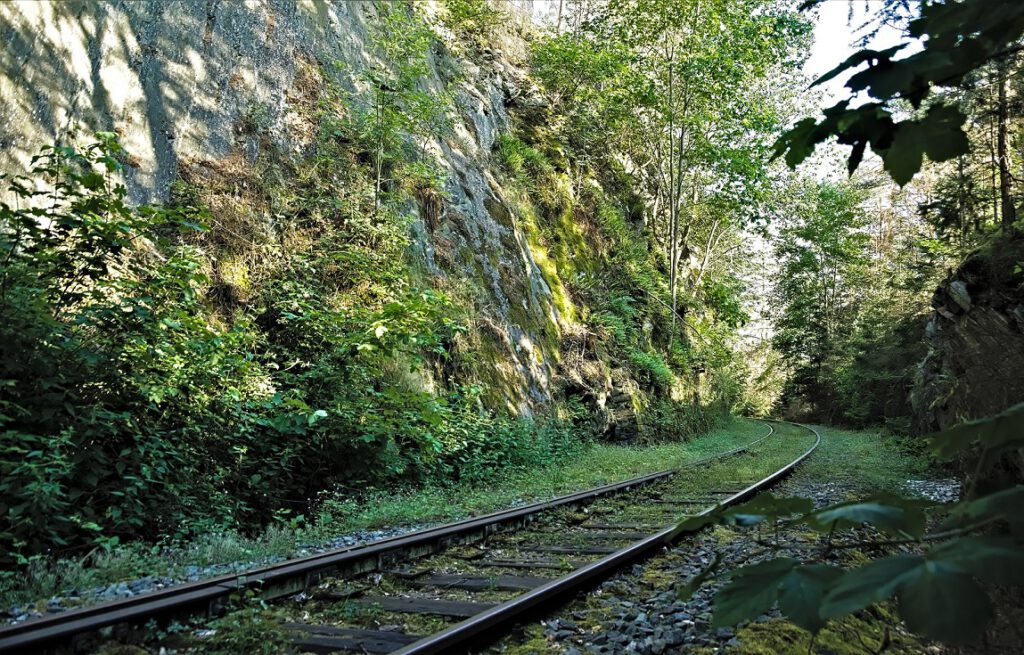 on the way / Unterwegs auf der stillgelegten Bahnstrecke Triptis - Marxgrün (Remptendorf - Thüringen) (AR 06/2023)