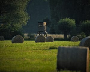 on the way / Unterwegs in Sielmanns Naturlandschaft (Naturpark Dahme-Heideseen) / Selchow (Storkow (Mark)) (AR 07/2023)