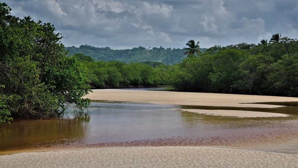 Küstenstreifen im Bundesstaat Bahia (Brasilien), wo ein Süßwasserbach auf das Salzwasser des Atlantischen Ozeans trifft. Das Zusammentreffen verschiedener Ökosysteme und Umweltbedingungen ermöglicht eine einzigartige Vielfalt an Tier- und Pflanzenarten. Zu sehen sind links und rechts Mangroven und in der Mitte der Verlauf des Süßwasserbachs (AR 09/2023)