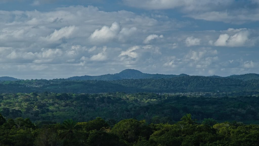 Wolken über dem Atlantischen Regenwald / Bundesstaat Bahia, Brasilien (on the way #mataatlantica AR 09/2023)