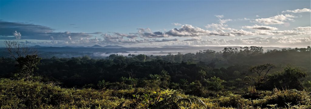 Blick von felsigem Untergrund in den Atlantischen Regenwald / Bundesstaat Bahia, Brasilien (on the way #mataatlantica AR 09/2023)