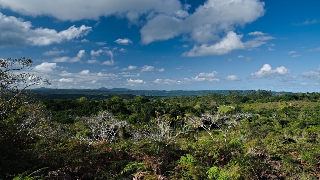 Blick von felsigem Untergrund in den Atlantischen Regenwald / Bundesstaat Bahia, Brasilien (on the way #mataatlantica AR 09/2023)