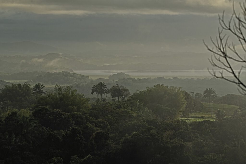 Früh morgens unterwegs im Atlantischen Regenwald / Bundesstaat Bahia, Brasilien (on the way #mataatlantica AR 09/2023)