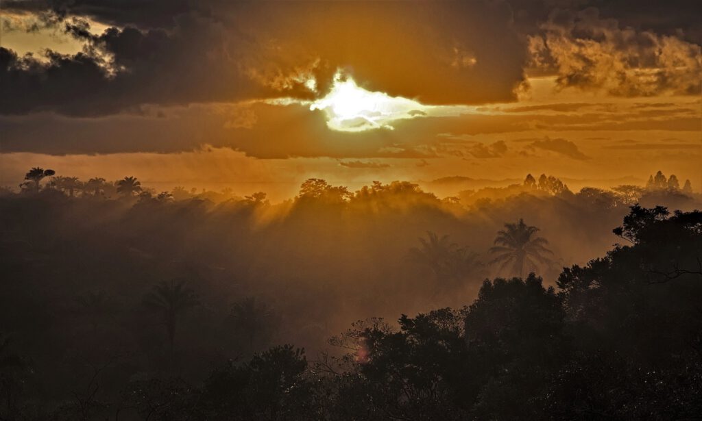 Die Sonne geht über dem Atlantischen Regenwald auf / Bundesstaat Bahia, Brasilien (on the way #mataatlantica AR 09/2023)