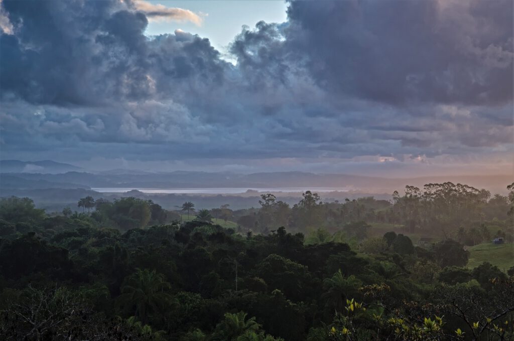 Auf diesem Bild ist ein feiner Wassernebel zu sehen, der sich zwischen den Baumkronen gebildet hat. Er entsteht durch Verdunstung von Wasser auf der Erdoberfläche und die Transpiration der Pflanzen. Begünstigt wird dieser Prozeß durch hohe Temperatur und intensive Sonneneinstrahlung. Das Aufeinandertreffen verschiedener Faktoren, wie z.B. äquatoriale Lage, Luftdruck, Luftfeuchtigkeit und dem Wasserdampftransportsystem von Ozeanen, führen zu einem Wasserkreislauf, bei dem die Feuchtigkeit kontinuierlich aus den tropischen Regenwäldern verdunstet, in die Atmosphäre zurückkehrt und somit das Klima regional und global positiv beeinflußt / im Hintergrund die Lagoa Encantada (on the way #mataatlantica AR 09/2023)