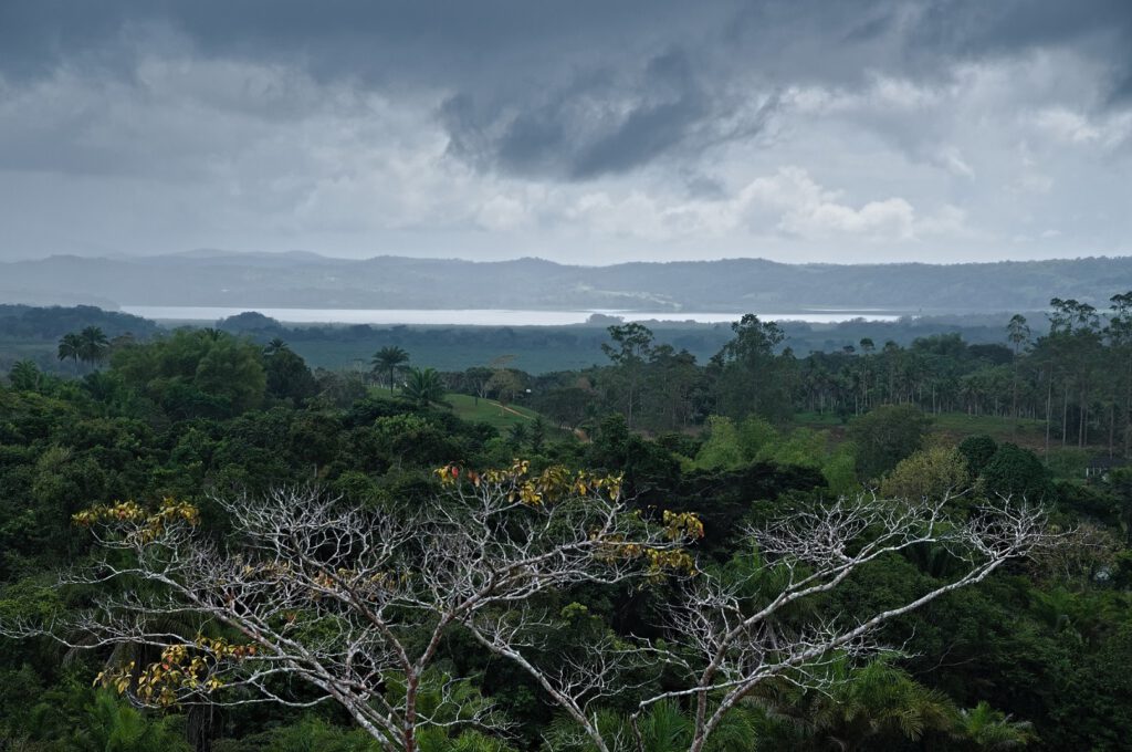 Blick von felsigem Untergrund über den Atlantischen Regenwald bis hin zur Lagoa Encantada / Bundesstaat Bahia, Brasilien (on the way #mataatlantica AR 09/2023)