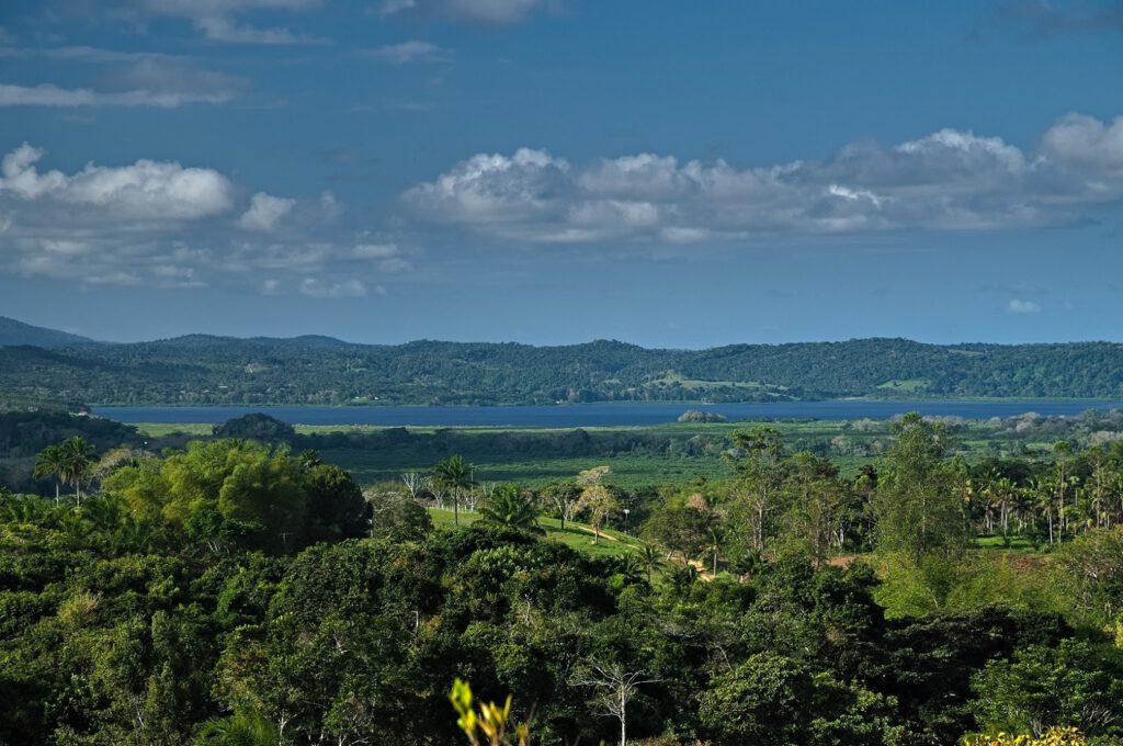 Blick von felsigem Untergrund über den Atlantischen Regenwald bis hin zur Lagoa Encantada / Bundesstaat Bahia, Brasilien (on the way #mataatlantica AR 09/2023)