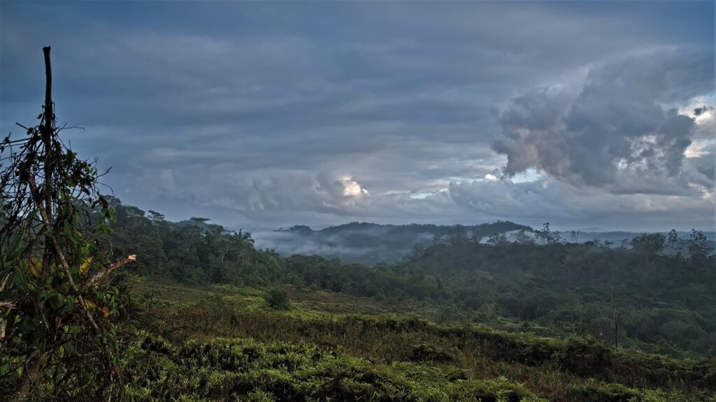 Blick von felsigem Untergrund in den Atlantischen Regenwald / Bundesstaat Bahia, Brasilien (on the way #mataatlantica AR 09/2023)