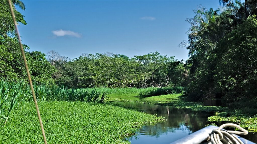 Unterwegs auf dem Rio Almada (Bundesstaat Bahia, Brasilien) (AR 09/2023)