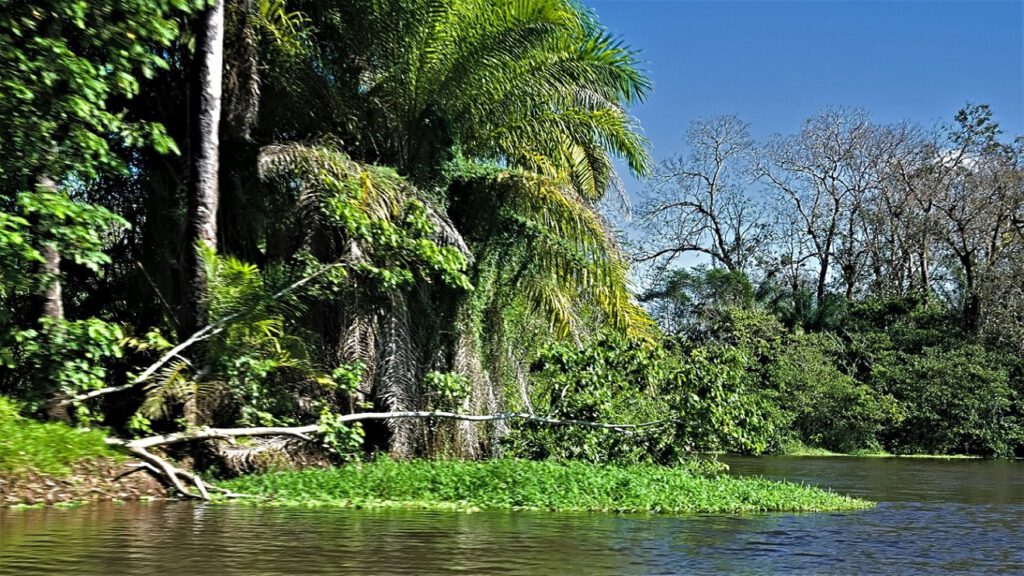 Unterwegs auf dem Rio Almada (Bundesstaat Bahia, Brasilien) (AR 09/2023)