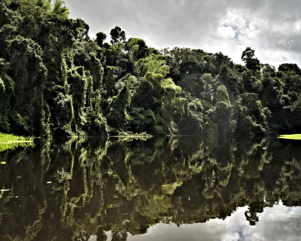 Unterwegs auf dem Rio Almada (Bundesstaat Bahia, Brasilien) (AR 09/2023)