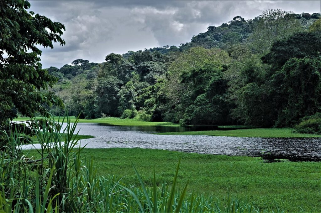 Der Rio Almada (Bundesstaat Bahia, Brasilien) (AR 09/2023)