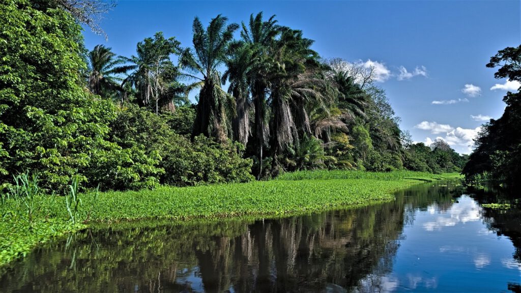 Unterwegs auf dem Rio Almada (Bundesstaat Bahia, Brasilien) (AR 09/2023)