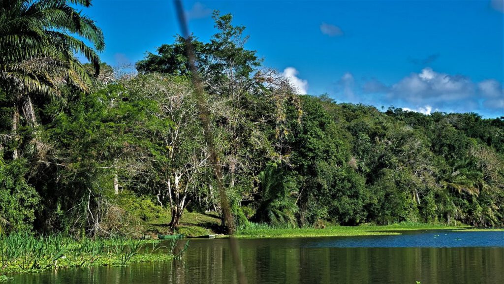 Unterwegs auf dem Rio Almada (Bundesstaat Bahia, Brasilien) (AR 09/2023)