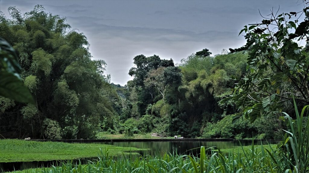 Der Rio Almada (Bundesstaat Bahia, Brasilien) (AR 09/2023)