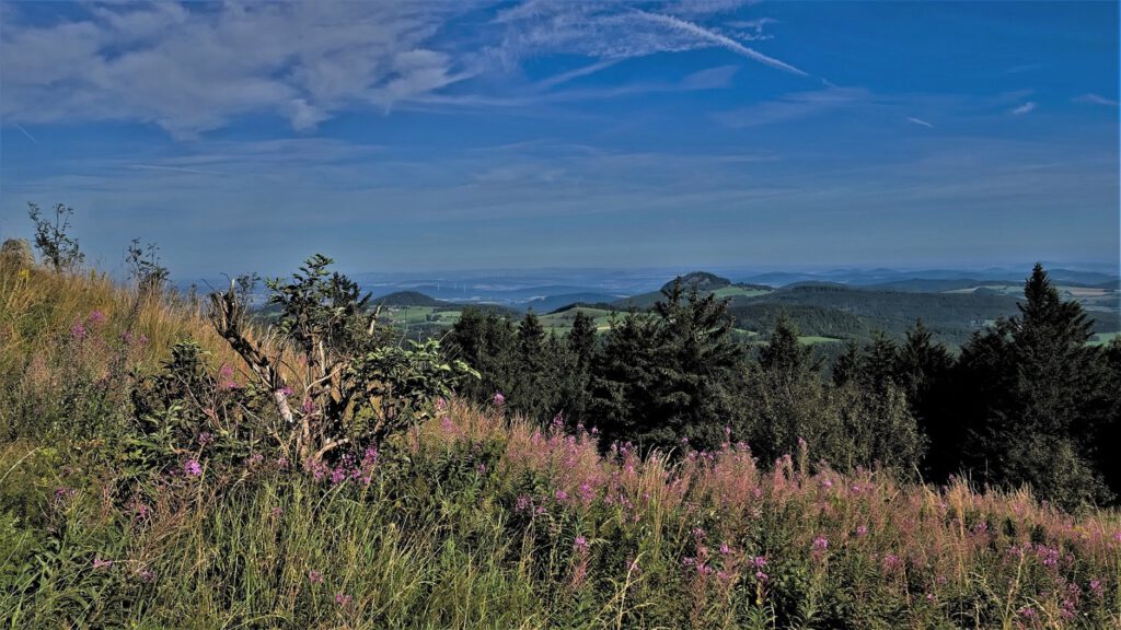 on the way / Standort Wasserkuppe am Vormittag, Blickrichtung West (AR 08/2024)