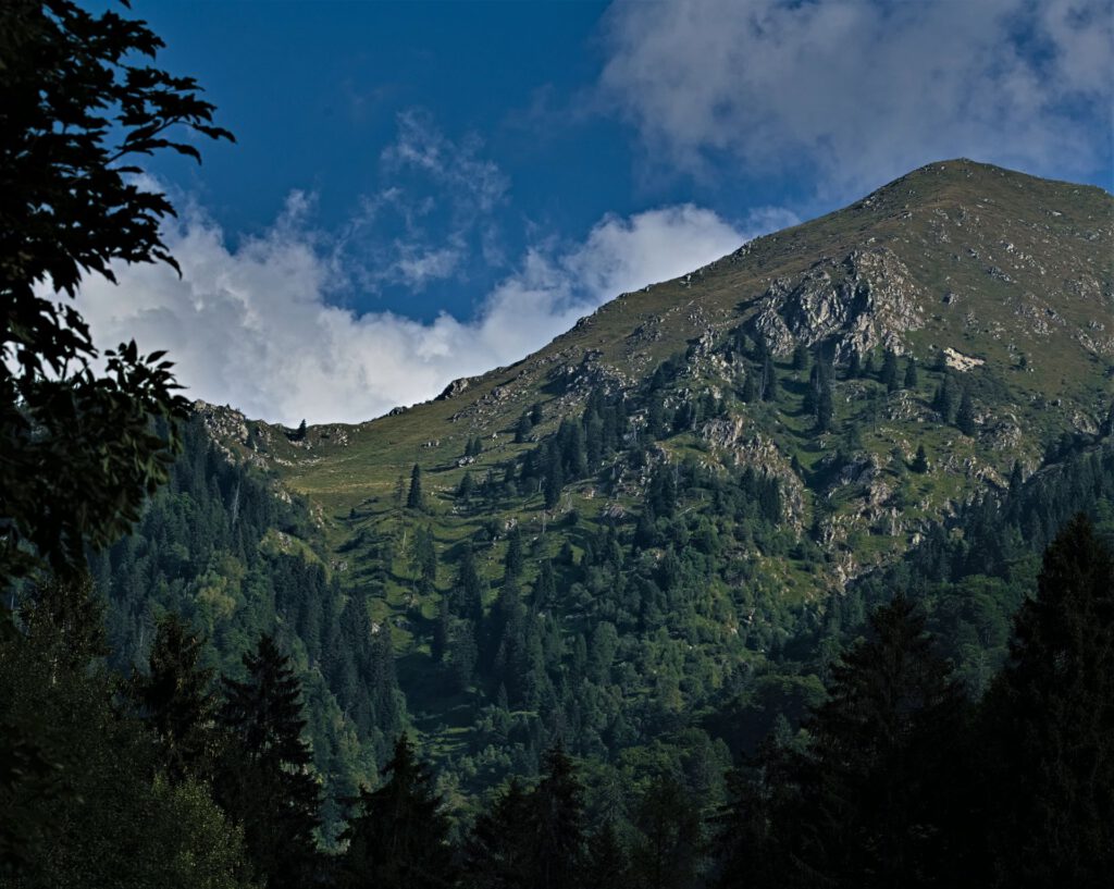 Unterwegs im Naturpark Adamello-Brenta (Trentino-Südtirol/It) (AR 09/2024)