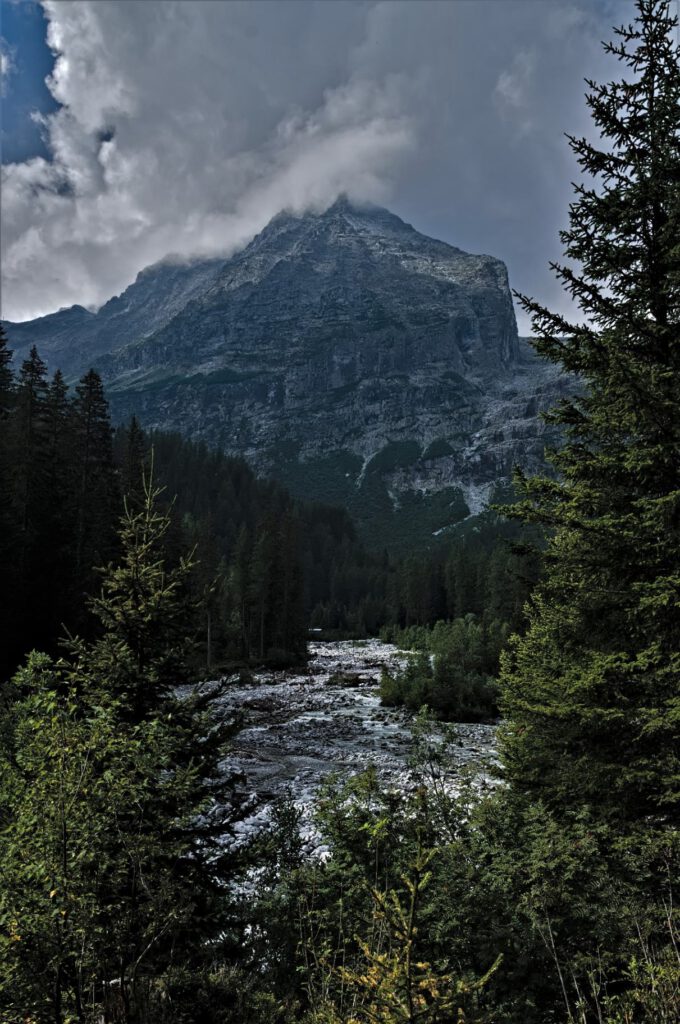 Unterwegs im Naturpark Adamello-Brenta (Trentino-Südtirol/It) (AR 09/2024)