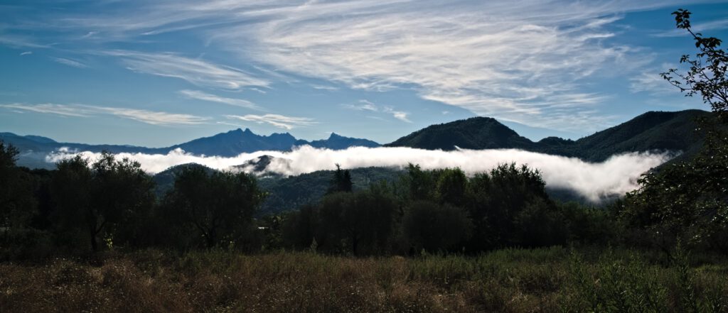 Panoramablick auf Baumwipfel in der Reggio Emilia (It), Feuchtigkeit liegt in den Baumwipfeln, die durch die Sonnenstrahlen am frühen Morgen in Form von Dunst sichtbar wird (AR 09/2024)