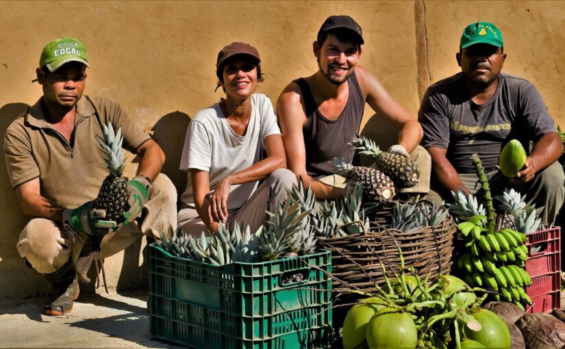 Wie Klimaretten-Selbermachen und Peace of Land den Wandel in der Landwirtschaft gestalten