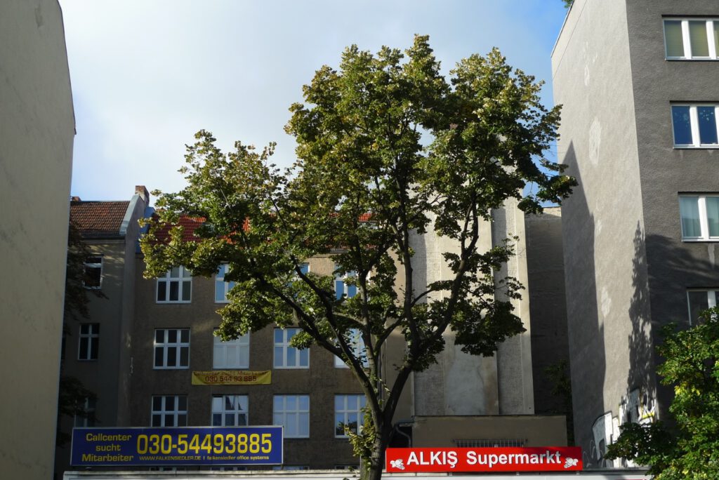 "Alkis Supermarkt" in der Sonnenallee (Das Neukölln-Porträt / AR 09/2010)