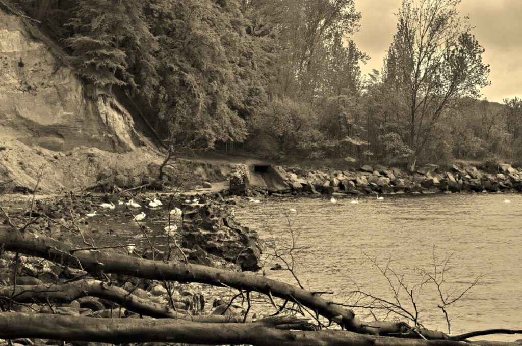 Überreste Ufermauer unterhalb von Schloss Dwasieden