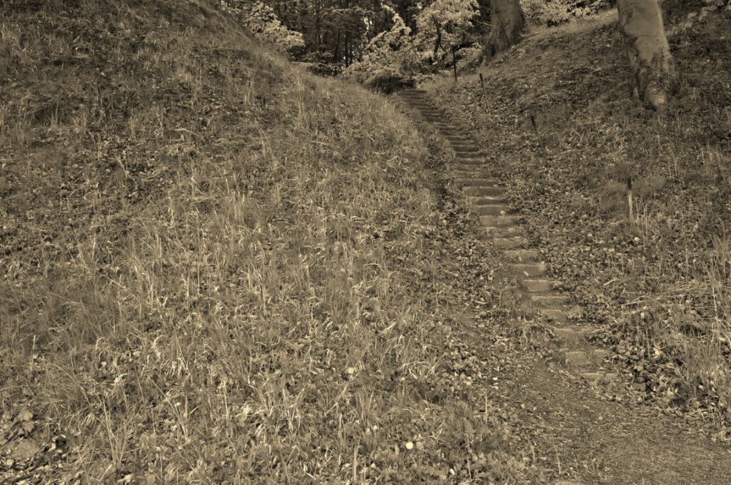 Verwilderte Steintreppe im Hang zwischen Uferanlage und Schlossruine Dwasieden auf Rügen