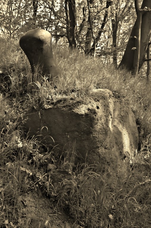 Alter Poller oberhalb der Uferanlage von Schloss Dwasieden