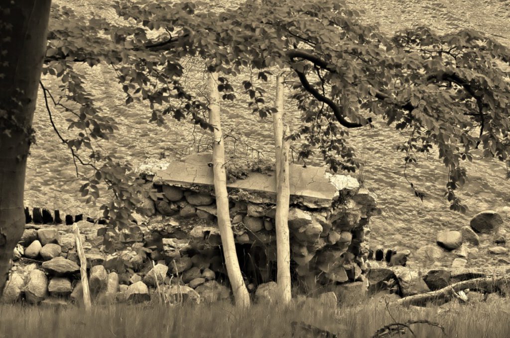 Zerfallene Ufermauer aus Naturstein bei den ehemaligen Anlagen von Schloss Dwasieden