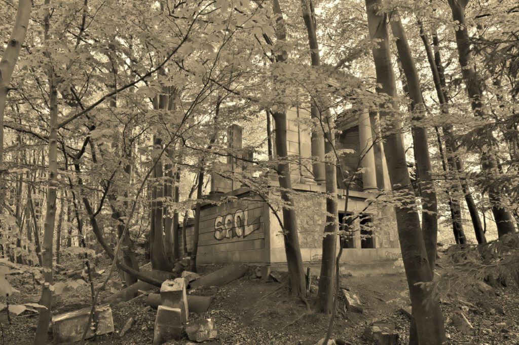 Fragmente Schloss Dwasieden im Wald nahe der Steilküste bei Sassnitz, Sandstein und Granit